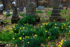 Dutchtown Cemetery 03-22-2010
