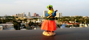 Hula Parrot at PBNI 03 22 2006 0535 300x137 Hula Parrot gets tour of Palm Beach Newspapers 03 22 2006