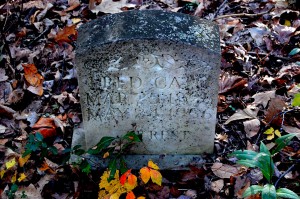 Shady Grove Cemetery near Dutchtown 10 27 2011 6346 300x199 Shady Grove Cemetery near Dutchtown 10 27 2011
