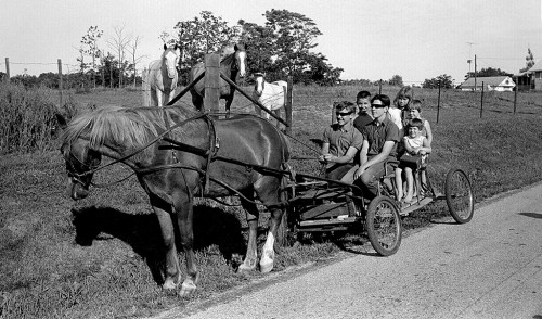 Children with cart and horse