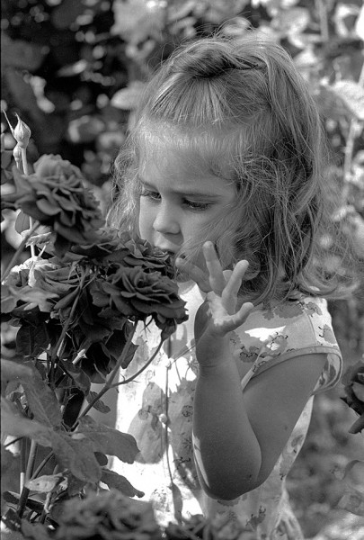 Karen Lampher at Capaha Park Rose Garden 06-11-1966