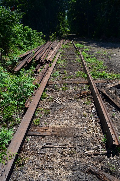 St Louis and Iron Mountain tracks Allenville 07-12-2013_6131