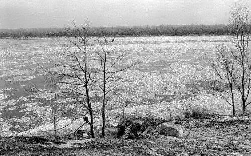 Ice on Mississippi River c 1966