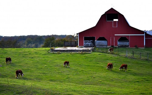 Farm near Fruitland 10-19-2014