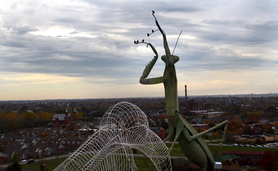 St. Louis City Museum – Cape Girardeau History and Photos