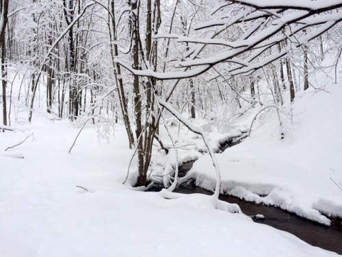 Creek with snow