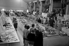 Southeast Missouri District Fair at Arena Building c 1966