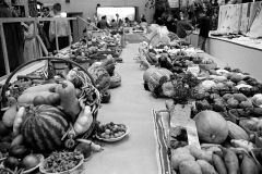 Southeast Missouri District Fair at Arena Building c 1966