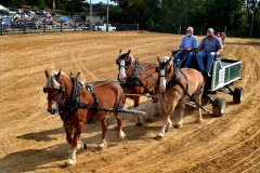 2014 Altenburg Fair 09-20-2014