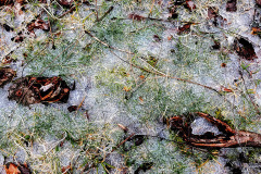Ice - Kingsway Dr 02-25-2022