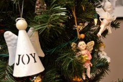 ©-Ken-Steinhoff-Multitude-of-Angels-11-19-2022_9793