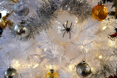 ©-Ken-Steinhoff-Spider-Tree-11-16-2022_9701