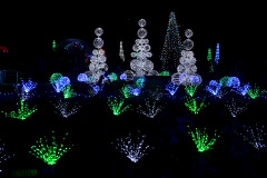 MO Botanical Gardens Glow Garden 12-01-2018