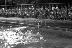 Swim Meet at Capaha Park Pool 07-31-1964