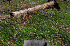 Dutchtown cemetery 04-04-2010