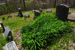 Dutchtown cemetery 04-04-2010