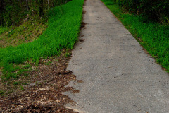 Dutchtown cemetery 05-05-2010