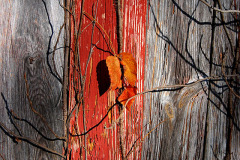 Old Barn near Egypt Mills 10-28-2011