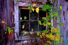 Old Barn near Egypt Mills 10-28-2011