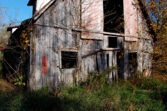 Old Barn near Egypt Mills 10-28-2011