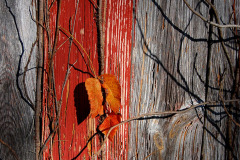 Old Barn near Egypt Mills 10-28-2011