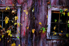 Old Barn near Egypt Mills 10-28-2011