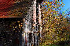 Old Barn near Egypt Mills 10-28-2011