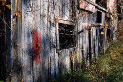 Old Barn near Egypt Mills 10-28-2011