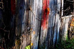 Old Barn near Egypt Mills 10-28-2011