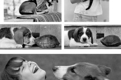 ©-Ken-Steinhoff-Kids-and-animals