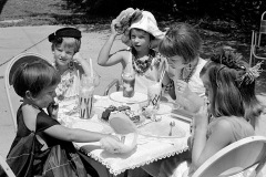 ©-Ken-Steinhoff-Tea-Party