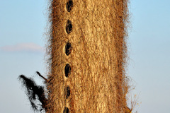 Silo north of Bertrand on NN 0 W Granite Rd 12-05-2015