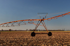 NN north of Bertrand 12-03-2015