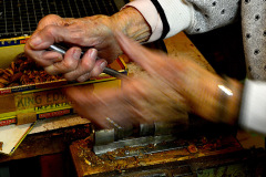 Mary Welch Steinhoff cracking pecans 11-13-2012