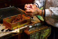 Mary Welch Steinhoff cracking pecans 11-13-2012