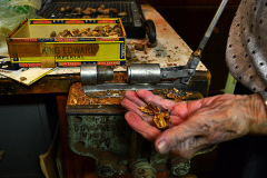 Mary Welch Steinhoff cracking pecans 11-13-2012