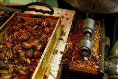 Mary Welch Steinhoff cracking pecans 11-13-2012