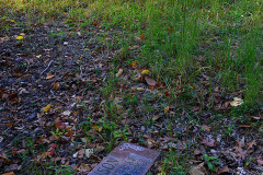 Nelly's Landing Cemetery 10-20-2012