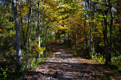 Nelly's Landing Cemetery 10-20-2012