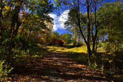 Nelly's Landing Cemetery 10-20-2012