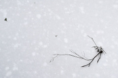 Old Man's Cave 01-24-2013