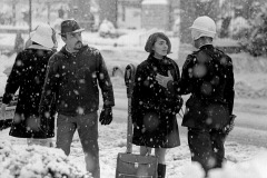 1967 OU Snowball "Riot"