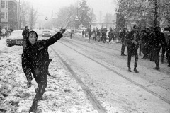 1967 Snowball "Riot"