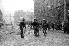 1967 Snowball "Riot"