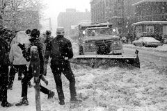 1967 Snowball "Riot"