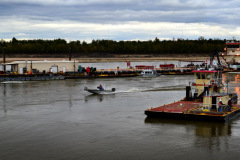 US Corps of Engineers Dredge Potter and Pushboat Prairie Du Rocher north of Cape Rock 10-19-2012