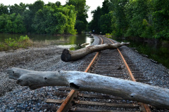 Mississippi River flooding 07-15-2015