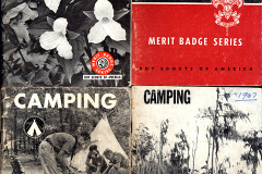 Boy Scout Merit Badge books c 1960s