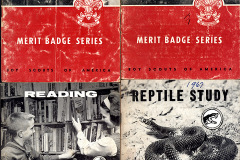 Boy Scout Merit Badge books c 1960s