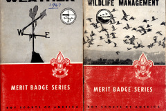 Boy Scout Merit Badge books c 1960s